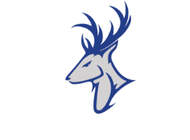 Stanton University Athletics Home Page